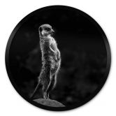 Poster van Son - Vigilance - Rond 