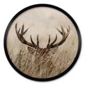 Poster Wachsamer Hirsch - Rund 