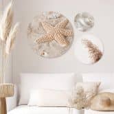Wandbild Muscheln und Seestern am Strand Set (3-teilig) - Alu-Dibond Rund 