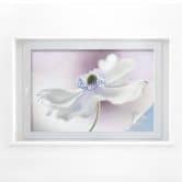 Raamfolie Disher - Anemone Breeze 