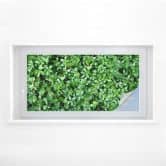 Raamfolie Green Leaves 
