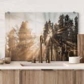 Spritzschutz Lichtstrahlen im Wald - Eisenmann 