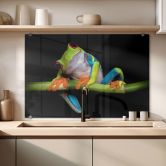 Spritzschutz Valverde - Green Frog 