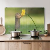 Spritzschutz van Duijn - Erdhörnchen hält Blume 