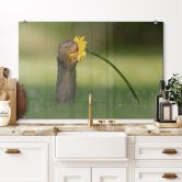 Spritzschutz van Duijn - Erdhörnchen riecht an Blume 