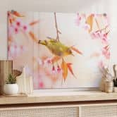 Küchenrückwand Vogelgezwitscher in der Kirschblüte 
