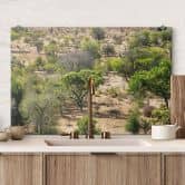 Spritzschutz Savannenlandschaft in Afrika - Hugonnard 