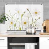 Stænkplade - Disher - Ox eye Daisies 