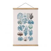 Stoffbild Filigrane Algen und Muscheln - casa cartissi 