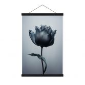 Stoffbild Samtige Tulpe in Schwarz - Paksoylu 