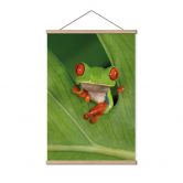 Stoffbild Laubfrosch im Regenwald - van Duijn 
