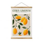 Stoffbild Boho Zitronenbaum - Citrus Limonum - Tunaboylu 