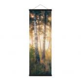 Textielposter Zonneschijn in een berkenbos - Kado - Panorama 