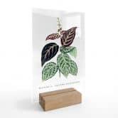 Tischaufsteller Blatt Illustration - Bignonia Argyro Violascea 