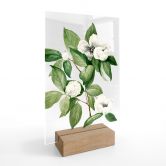 Présentoir de table Botanique Illustration d'un faux camélia - Walcott 