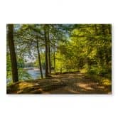 Wandbild Waldweg am Fluss - Alu-Dibond 