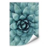 Wallprint Agave 02 