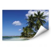 Wallprint - Carribean Flair 