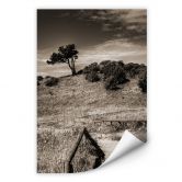 Wallprint - Landschaft auf Hiddensee 