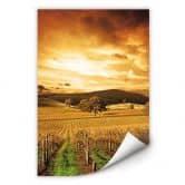 Poster autocollant - W - Le Tyrol en Automne 