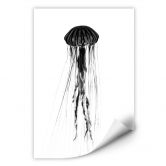 Wallprint - Schwarze Qualle 