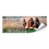 Wallprint - Affenbande - Panorama 