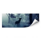 Wallprint Hirsch im Morgenwald - Panorama 