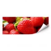 Wallprint Erdbeeren aus dem Garten - Panorama 