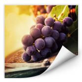 Wallprint - Weinlese 