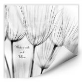 Wallprint - Make a Wish... 