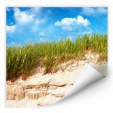 Wallprint - Ostsee Dünenlandschaft 