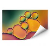 Wallprint Westum - Bubbles 
