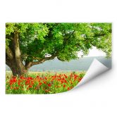 Wallprint - Sommererwachen 