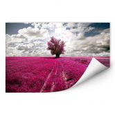 Wallprint - The Lonely Tree 