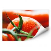 Wallprint Fresh Tomato 