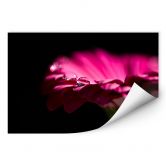 Wallprint Waterdrop of Life 