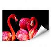 Wallprint Pink Flamingo 