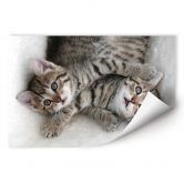 Wallprint - Freunde 