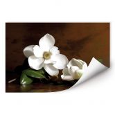 Wallprint - Magnolienzweig mit Blättern 