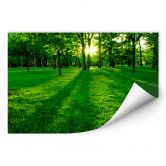 Zelfklevende Poster Park in het groen 