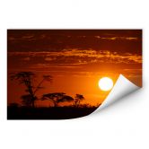 Wall print - African Steppe 