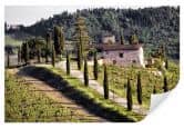 Zelfklevende Poster - Winery 