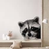 Wall sticker Racoon - Graves 