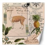 Fototapete, Shabby Chic Stil Lama Natur Abstraktion Tropisch - Andrea Haase 