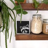 Holzbild zum Hinstellen - Graves - Racoon - 15x15 cm 