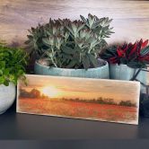 Holzschild Mohnfeld im Sonnenuntergang 