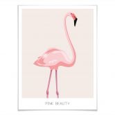 Poster Pink Beauty - Flamingo 
