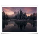 Poster Castan - Fairytale Forest 
