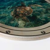 Holzbild 3D Optik - Schildkröte von oben - Rund 