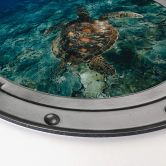 Alu-Dibond 3D Optik - Schildkröte von oben - Rund 